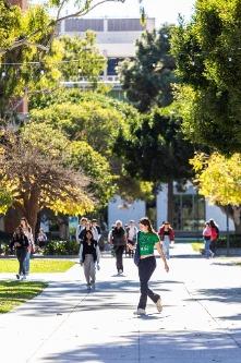 the Campus Regulations, Interim Student Conduct Code and UC Santa Barbara